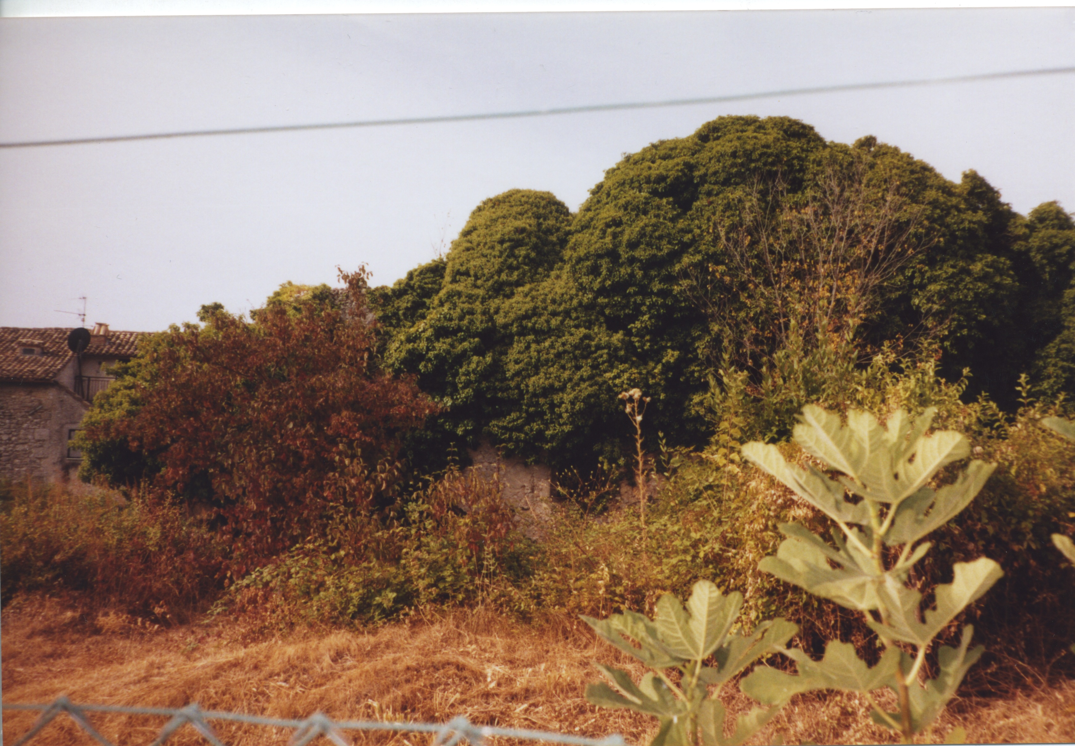 Ruins behind Cicero's House